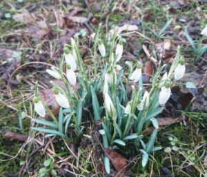 Frühling: Zeit für Neuanfang